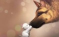 /album/kepgaleria-fenykepgaleria3/al-4-jpg/